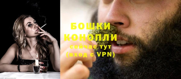 PSILOCYBIN Арсеньев