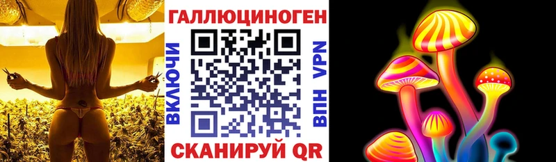 Купить где  Удачный  Галлюциногенные грибы прущие грибы 